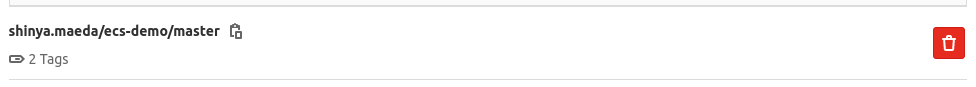 A containerized application image in the container registry.